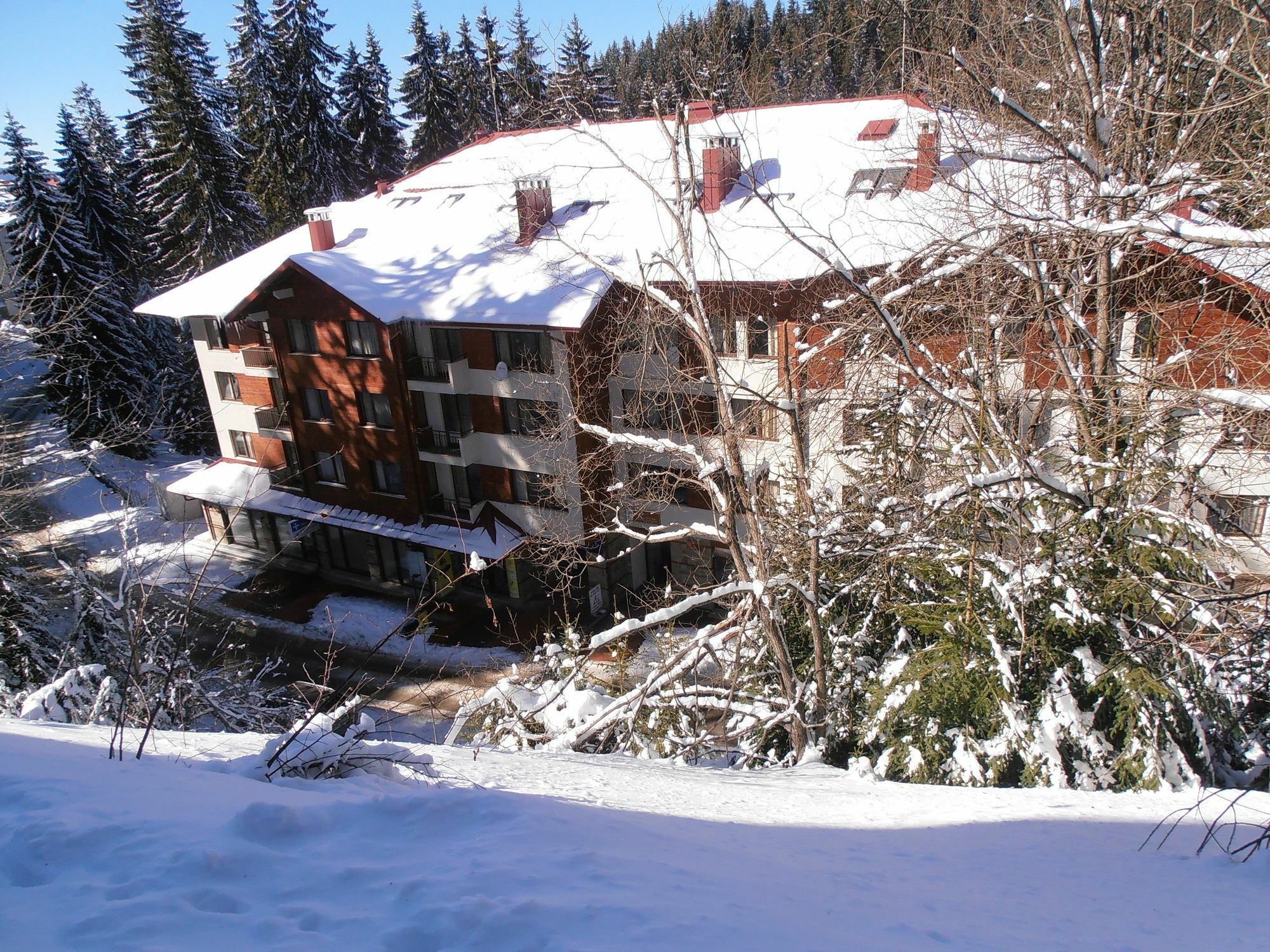 Royal House Apartments Tmf Pamporovo Luaran gambar